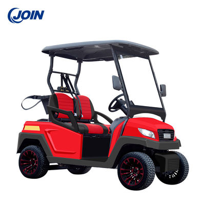 Kundenspezifisches Sitzer-Golfmobil-Leder des Golf-Buggy-4 mit Seat-Kissen